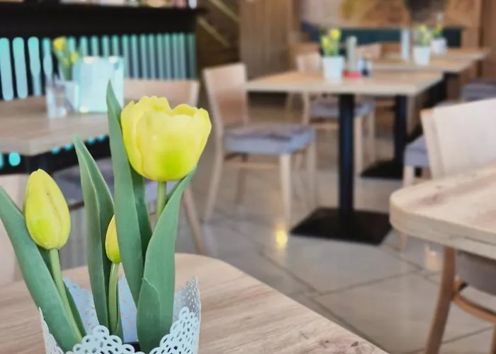 Korab Nocleg ze śniadaniem Międzyzdroje